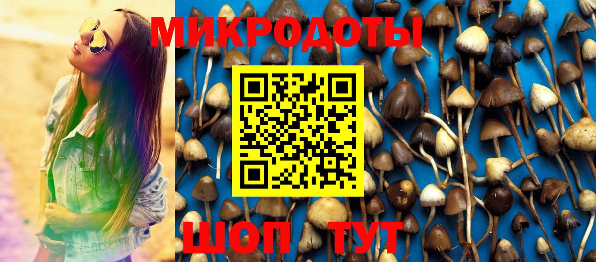 Псилоцибиновые грибы прущие грибы  Псилоцибиновые грибы Cubensis  Знаменск  Вход с VPN 